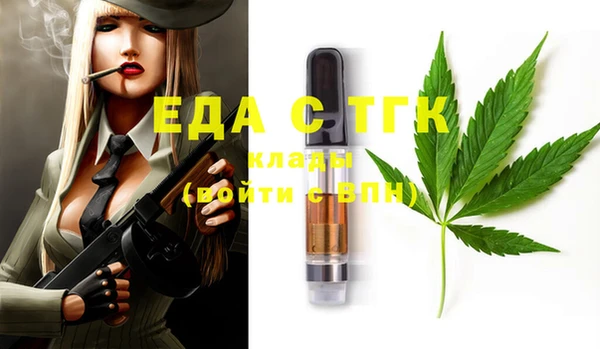 индика Иннополис