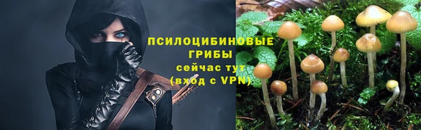 2c-b Белоозёрский