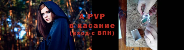 кокс Баксан