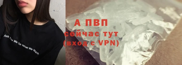 ECSTASY Белокуриха